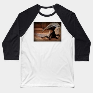 Giant Anteater Baseball T-Shirt